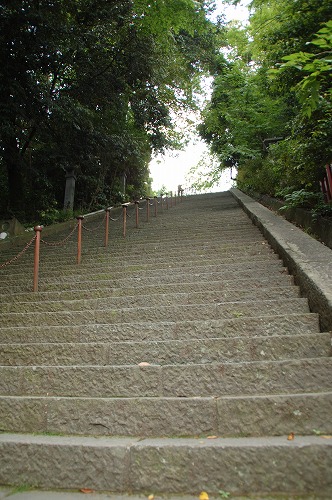 c0147116_134726100.jpg