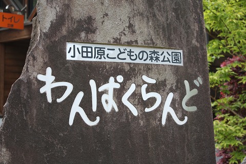 f0117618_095381.jpg