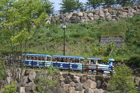 f0117618_8402384.jpg
