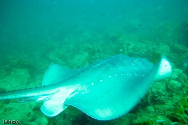 f0221418_0194883.jpg