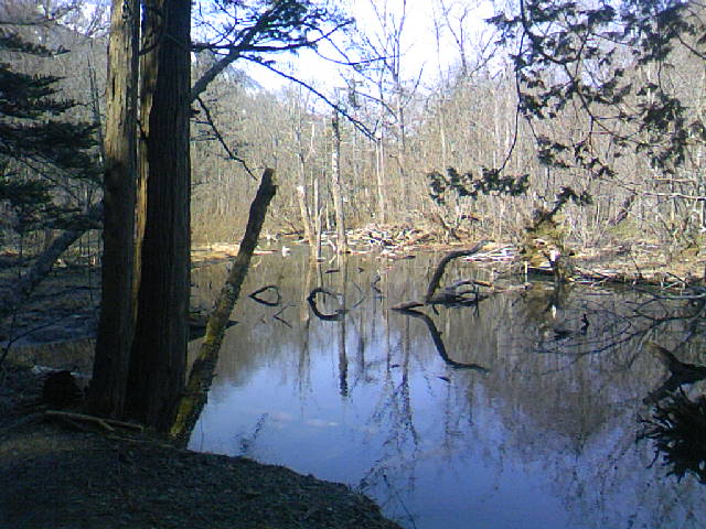 b0101719_0443189.jpg