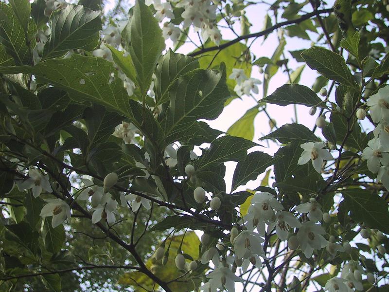 c0097620_20241151.jpg