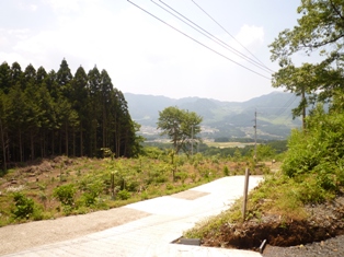 f0031420_2011851.jpg