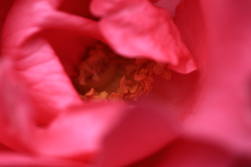 b0165522_2048272.jpg