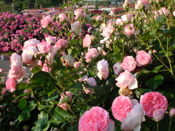 f0128723_12181399.jpg