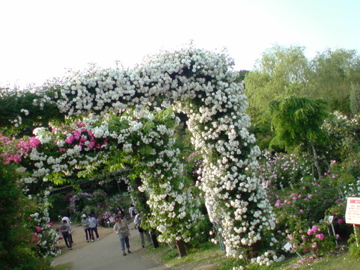f0128723_12215452.jpg