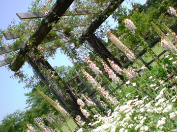 f0128723_1223966.jpg