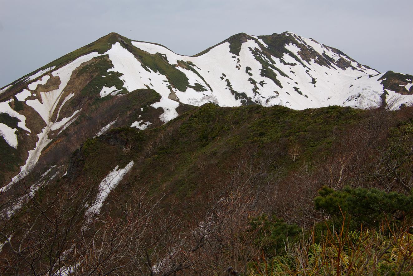 b0062024_8194536.jpg