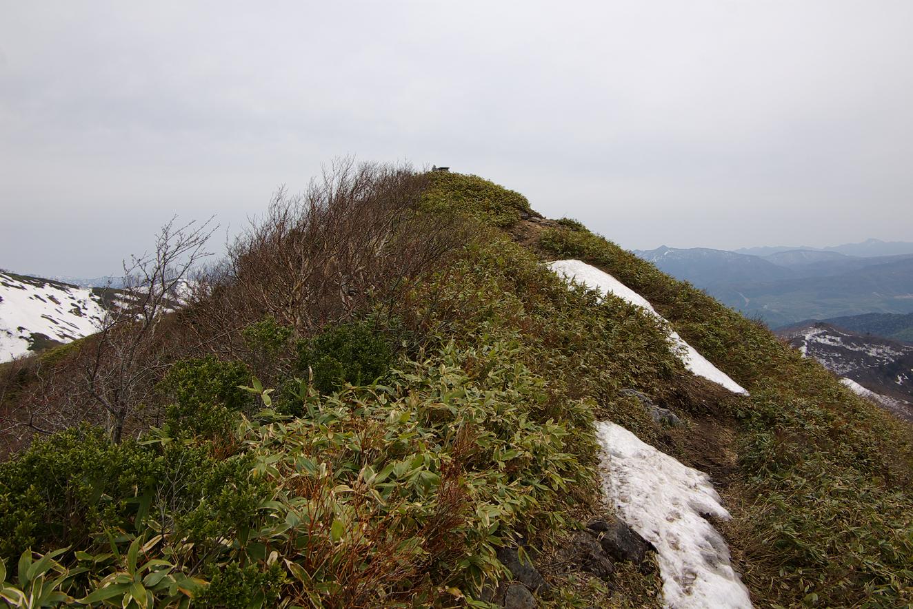 b0062024_8201485.jpg