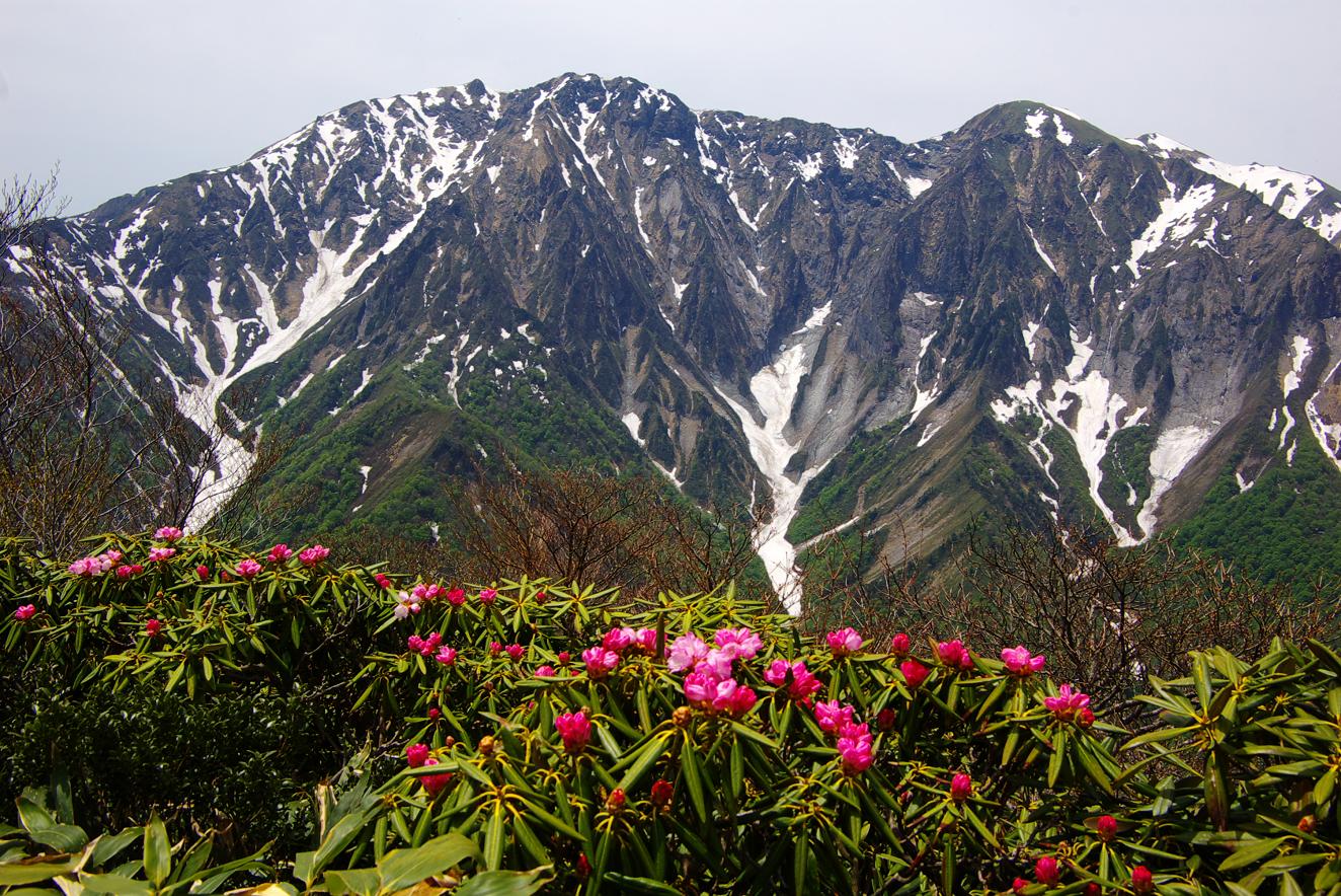b0062024_830209.jpg