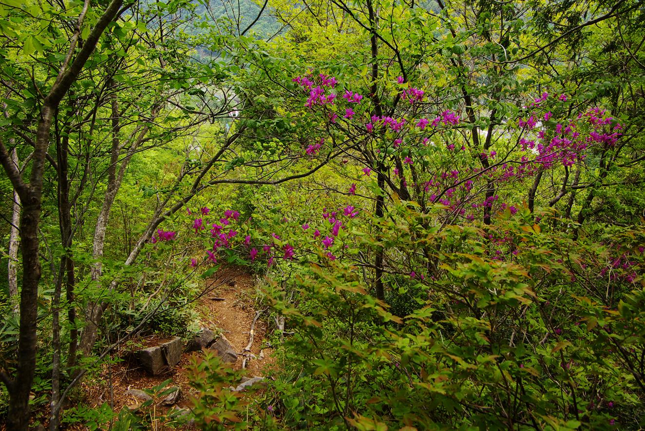 b0062024_8352859.jpg