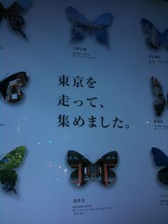 c0187626_4345791.jpg
