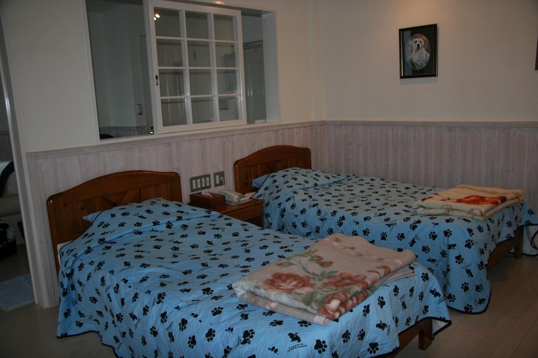f0124830_12304099.jpg