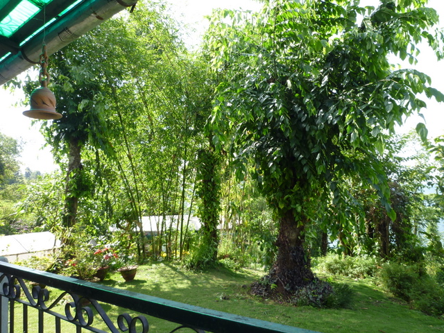 a0152839_1929267.jpg