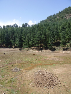 a0152839_2137723.jpg
