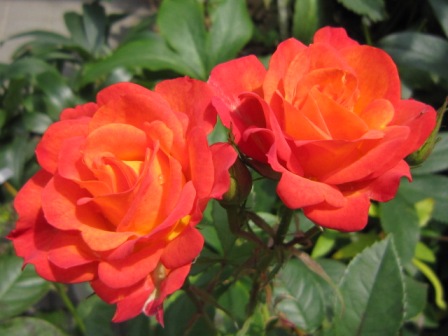 c0025140_21283863.jpg