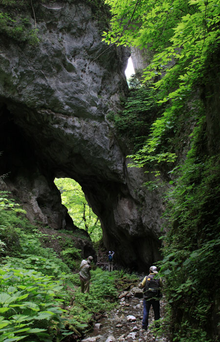 e0155240_18383017.jpg