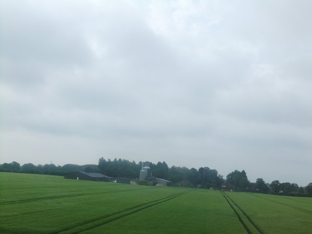 f0210340_4195765.jpg