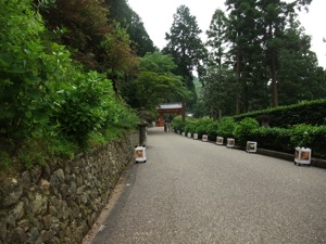 f0201741_7474967.jpg