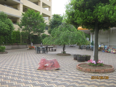 e0121548_2155545.jpg