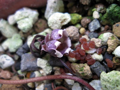 c0147952_23534680.jpg