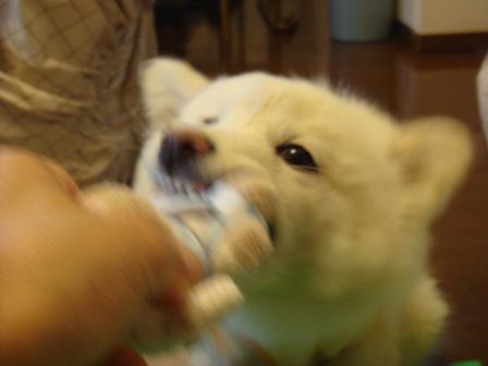 f0046854_2011515.jpg