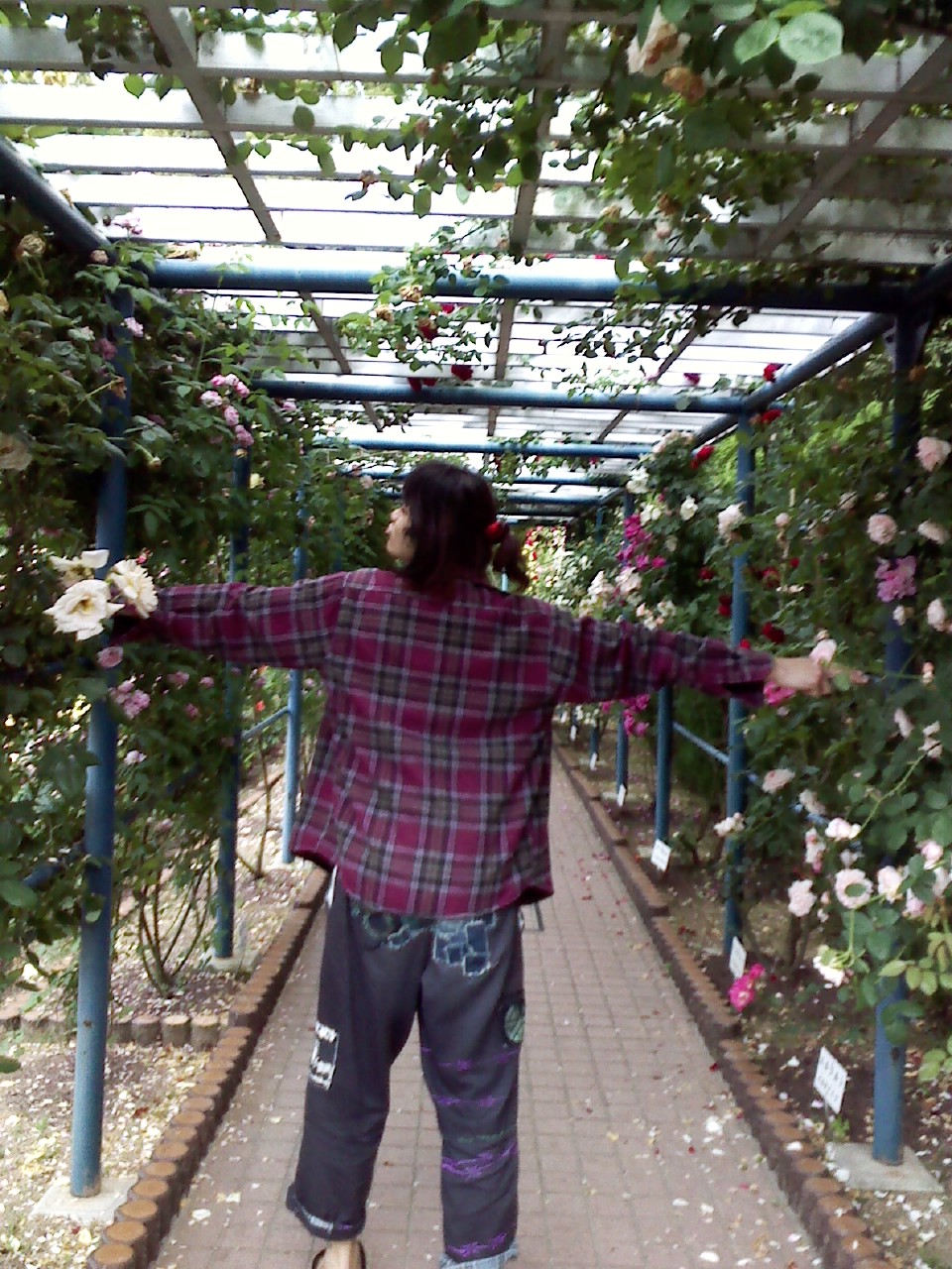 f0221955_2201554.jpg
