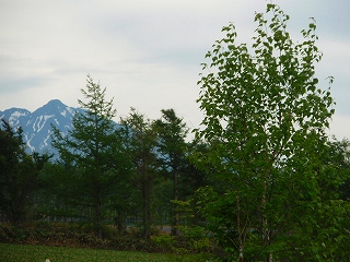 e0004756_229388.jpg