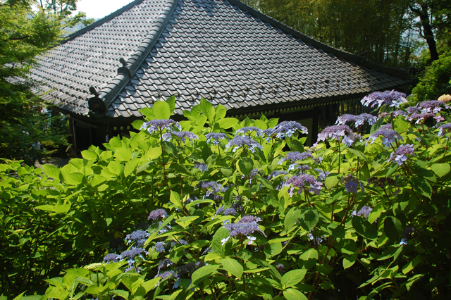 f0176458_8415965.jpg