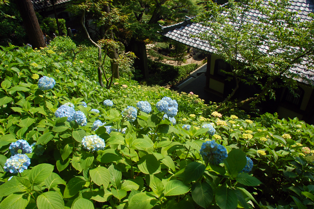 f0176458_8442791.jpg