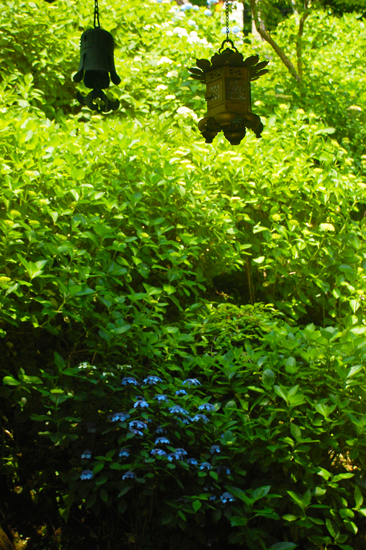 f0176458_99585.jpg