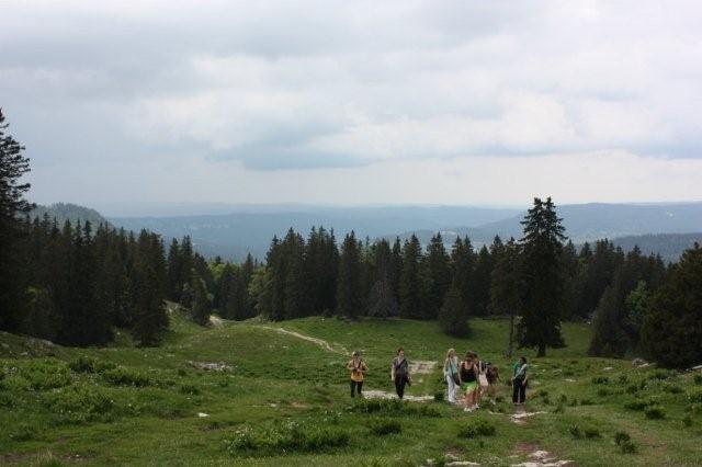a0124959_3375521.jpg