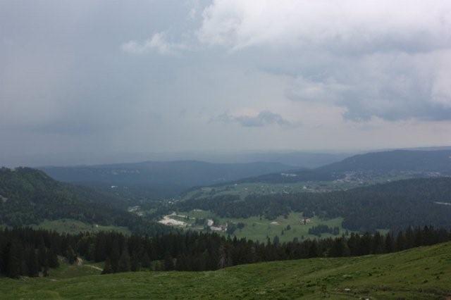 a0124959_44687.jpg