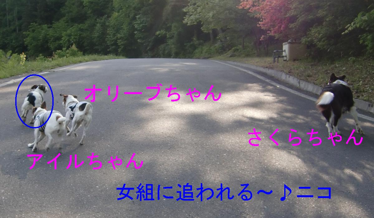 c0140260_9251349.jpg