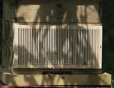 d0170960_17491730.jpg