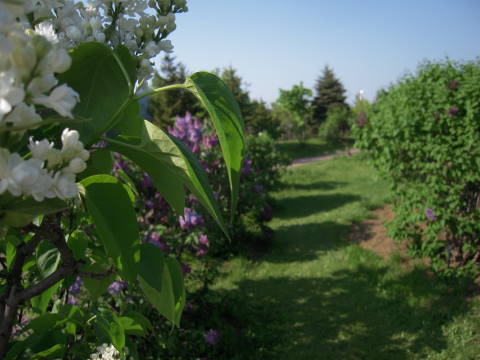 e0092362_0402852.jpg