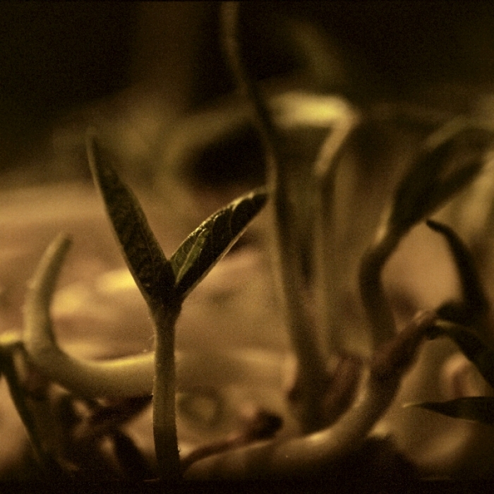 c0121269_23345956.jpg