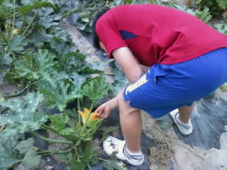 e0189070_13173133.jpg