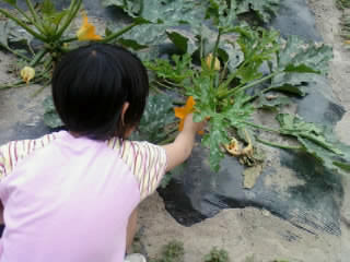 e0189070_13174025.jpg