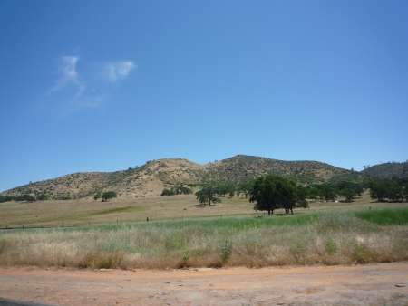 f0186671_312442.jpg