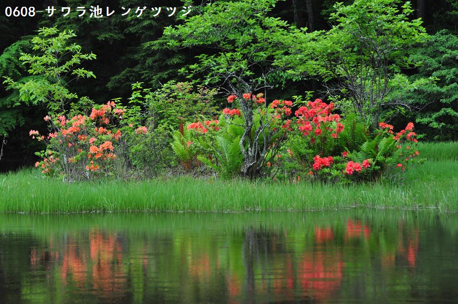 f0220774_22434784.jpg
