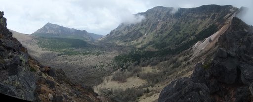 f0054075_172813.jpg