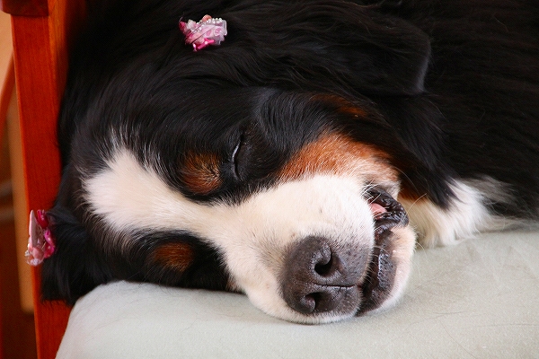 c0149178_11544340.jpg