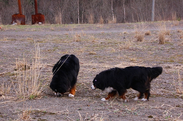 c0149178_1203929.jpg