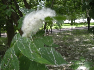 f0209878_5103112.jpg