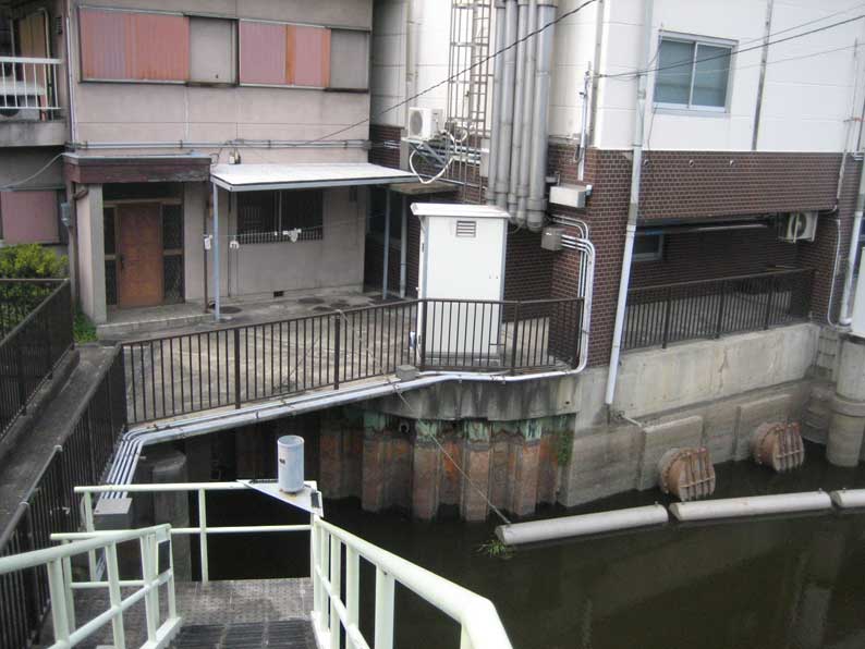 b0057679_84258.jpg
