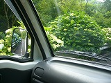 d0114583_1451937.jpg