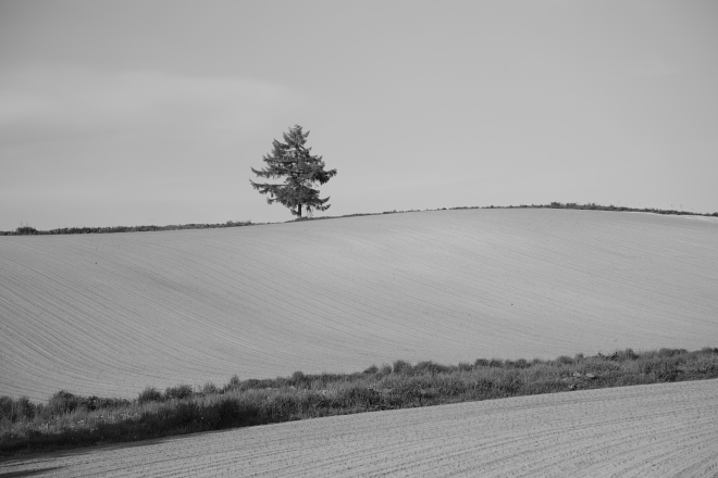 f0163583_2232936.jpg