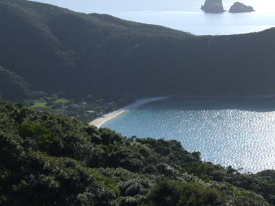 e0028387_2235822.jpg