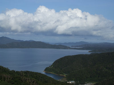 e0028387_22365165.jpg